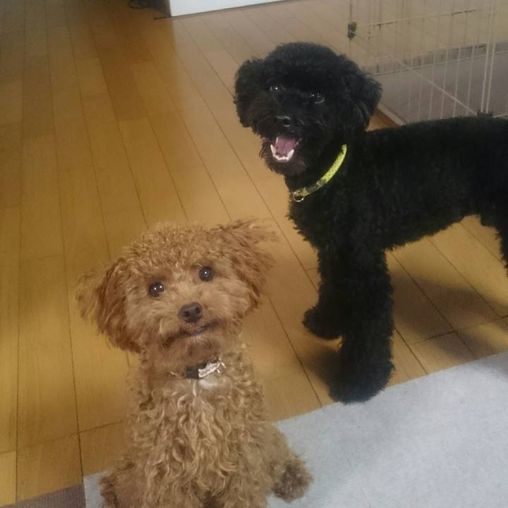 2e81113a b20d 437f 8960 d318a16d9e4b