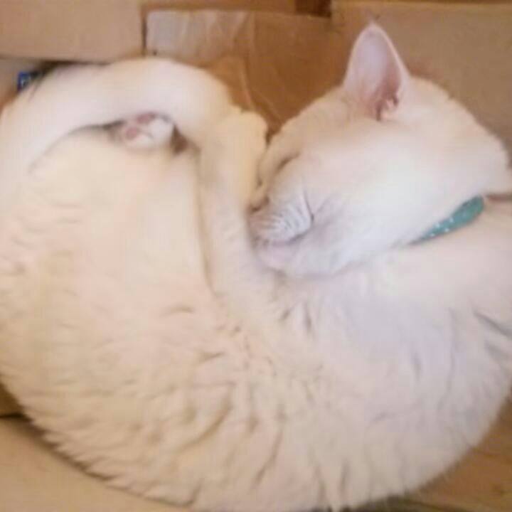 2e814908 7c9a 4735 a428 8c985f2b8db8