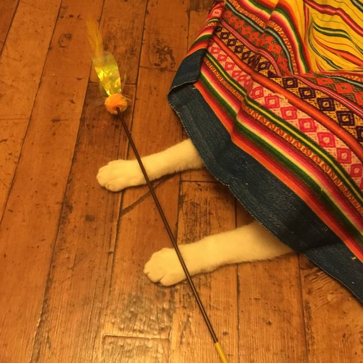 2e814f70 dd14 4752 9fcf 11888798e98d