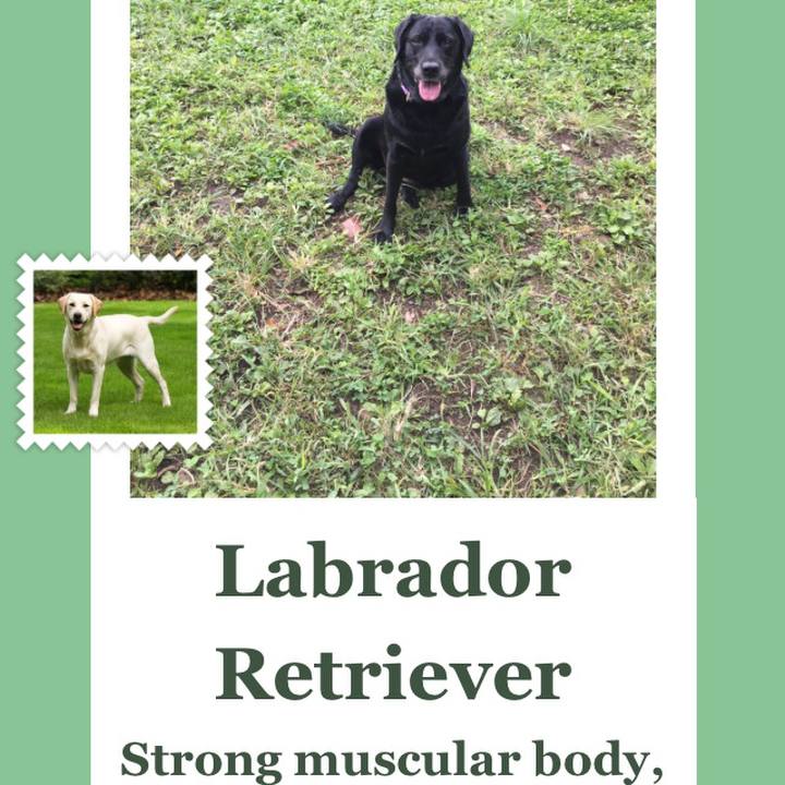 2e81ce47 60c1 46f9 968c 50322da6f5a4