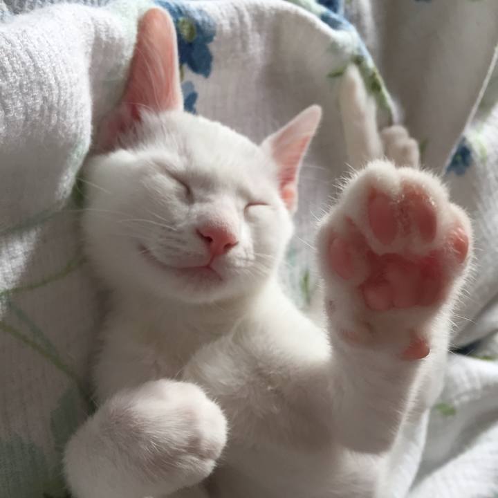 2e81d521 9790 49c1 b8eb 7ea009a029eb