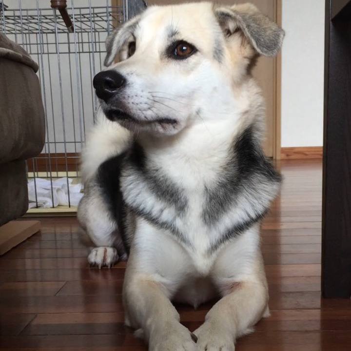 2e82db14 bd8e 40e0 b8e9 a1b48f6ddad7