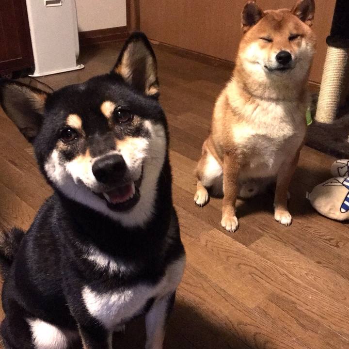 2e82e275 d13e 4afc a383 fd236bc3d918