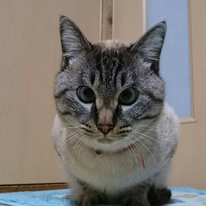 2e830d2b ce6f 413e 8238 000ad3ff4974