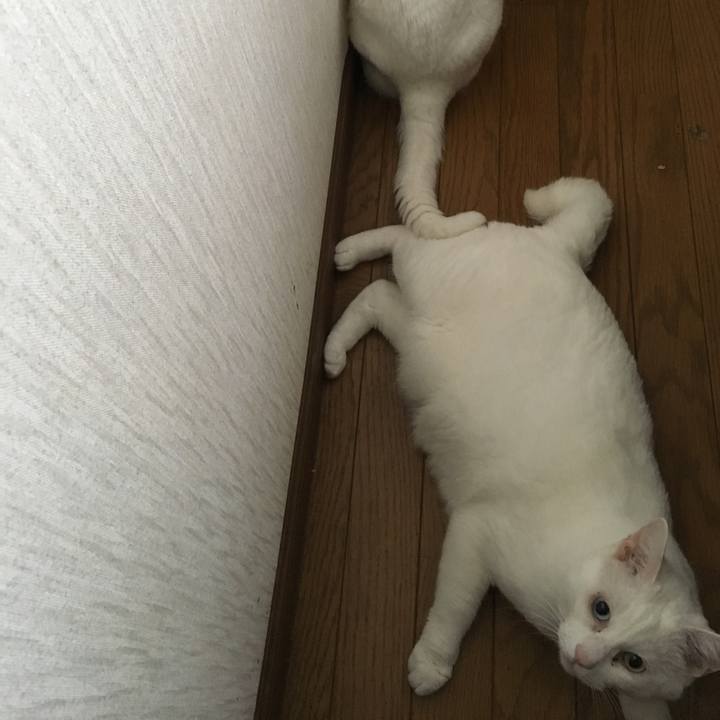 2e834525 940d 496e 94de a1cc290021f3