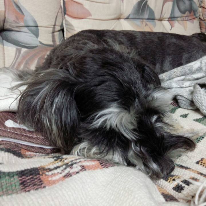 2e840323 180b 460e 8489 e6d252de4b1a