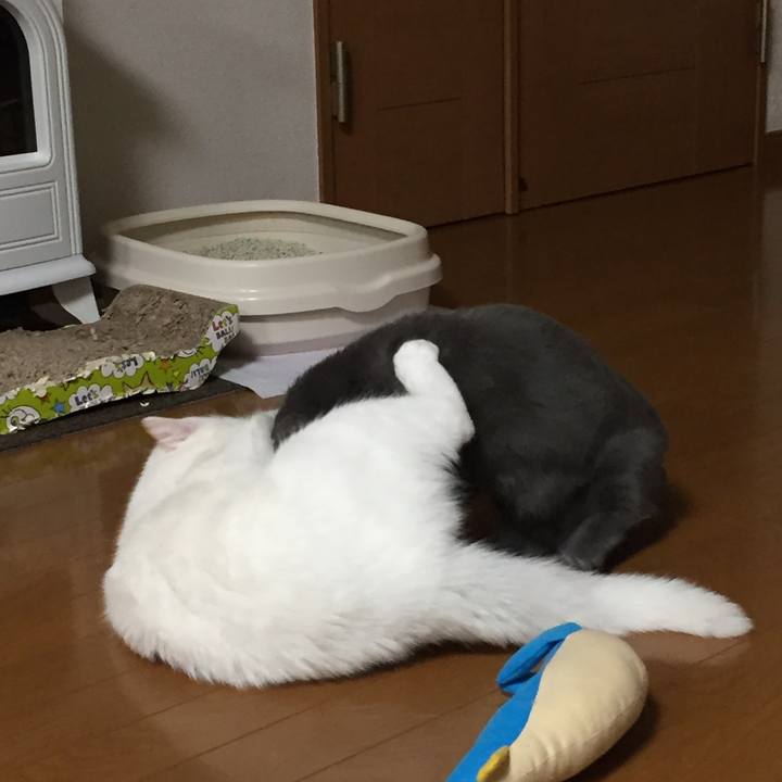 2e842539 dc80 4261 82a6 148a83e02f00