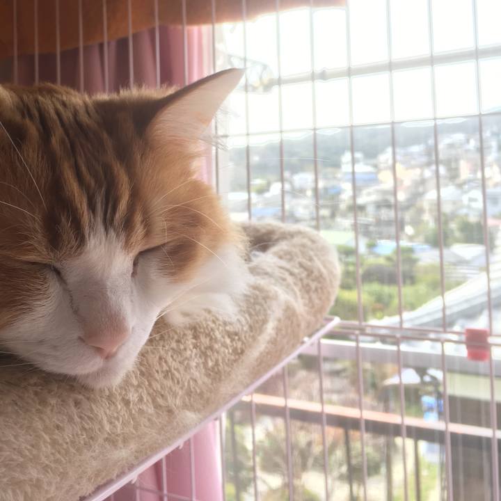 2e84d200 481f 4623 8a30 853d296ccedf