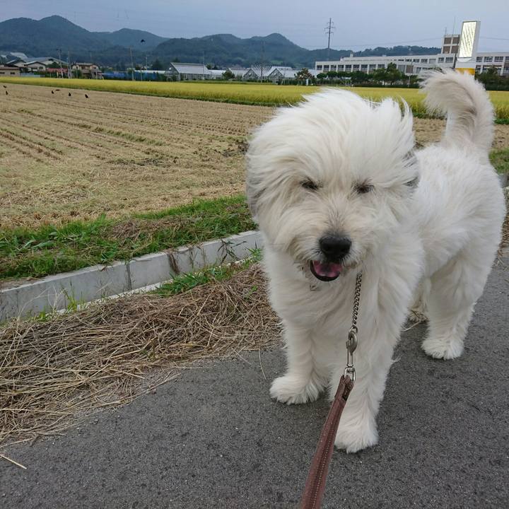 2e85079f dda8 453a 99ca 8f41a2a674a5