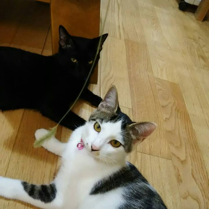 2e8524c7 17fb 4581 9bc1 5283fc1e4bed