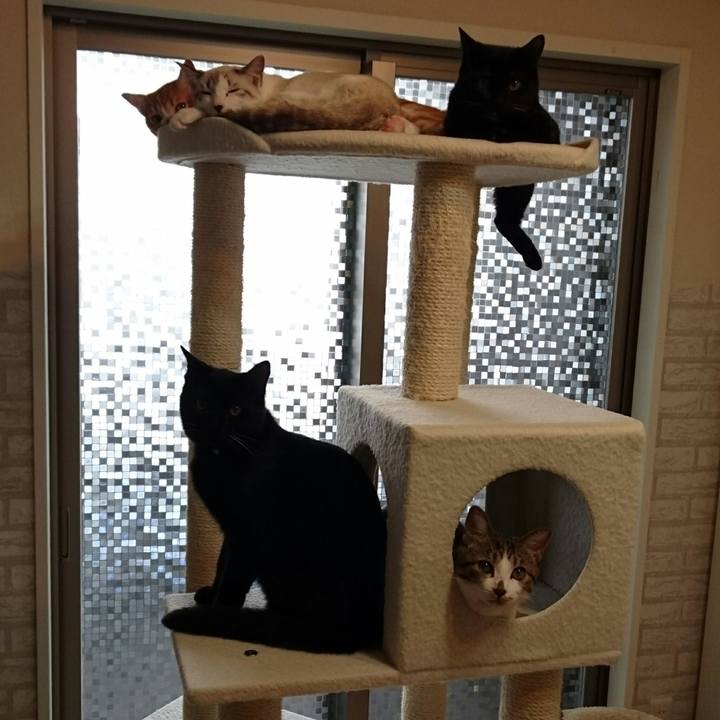 2e85738e 5e28 4312 9238 467a9a8d2305