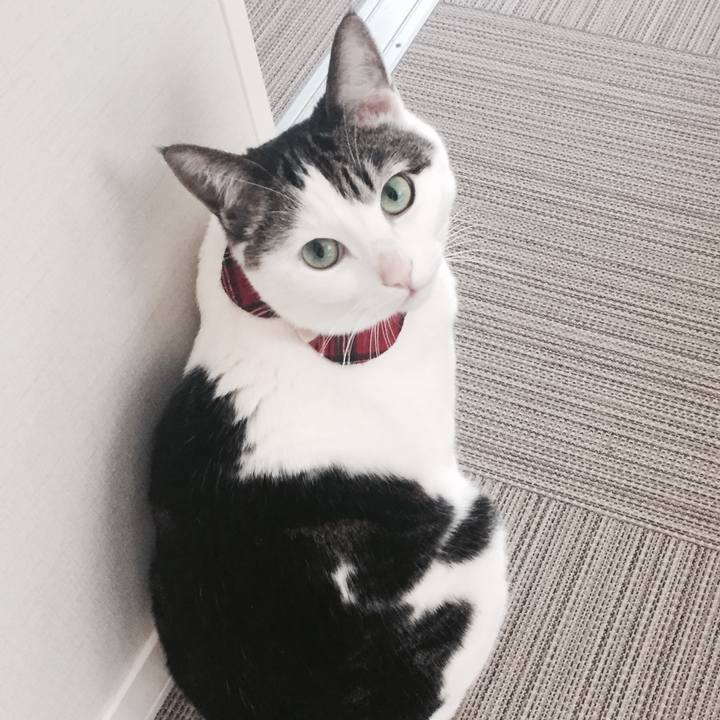 2e857873 01c8 4542 abc4 edabc296344b