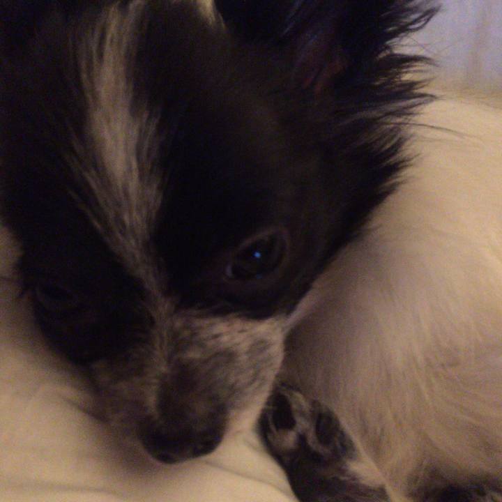 2e85833d 517d 4b4f a818 29d0098a1c88