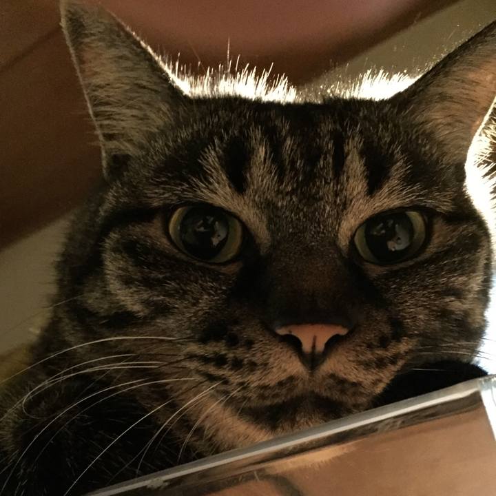 2e85a435 084f 483f 934f e7572b61071b