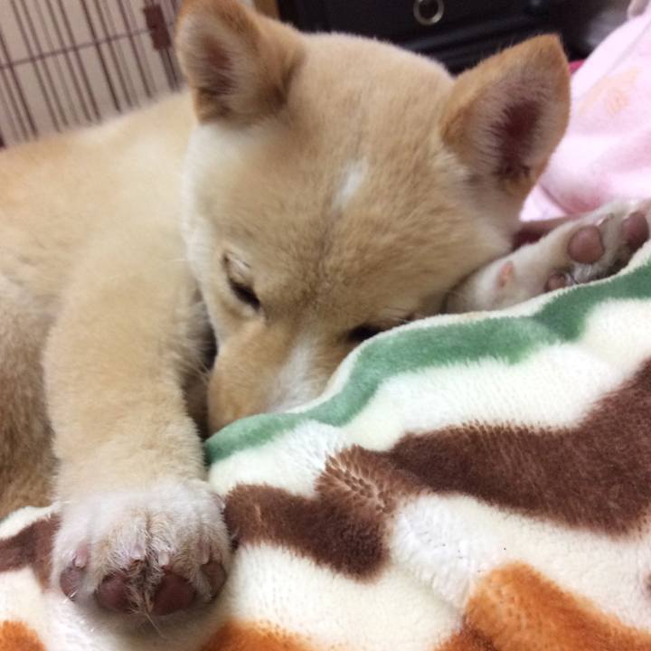 2e85b947 da60 4ed1 b3ec 474701604d31