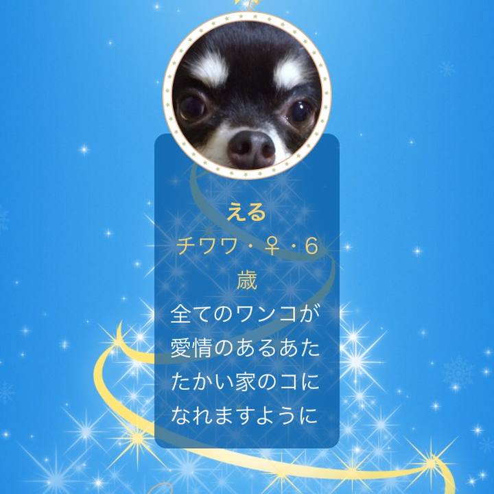 2e86d64f c3d5 49aa 98c8 c4afd668c263