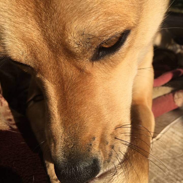 2e875db5 9e3c 4d3a b453 36566630a2b1