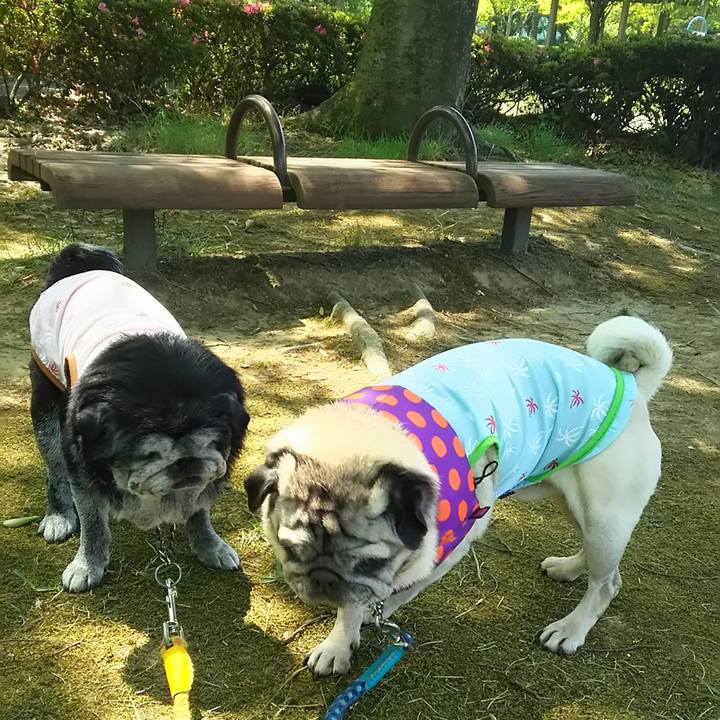 2e879d8d 5f35 4727 a924 aea32917dec6