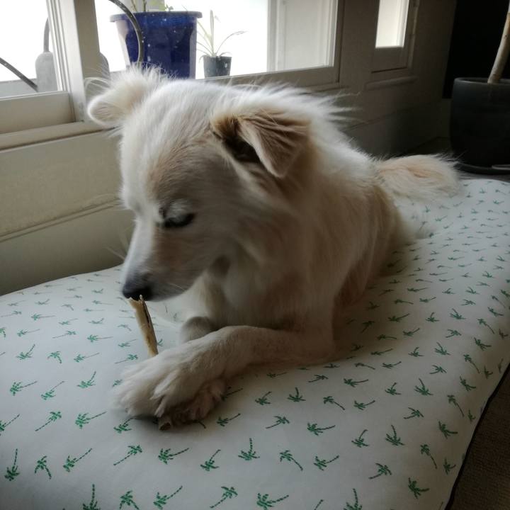 2e889017 6d96 4aeb b6ec 52fd09154bba