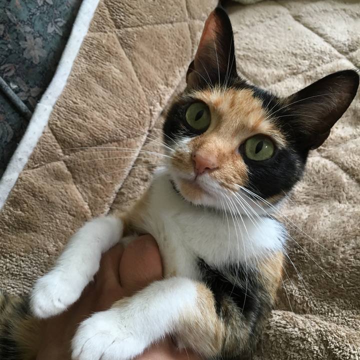 2e88cf8c 1952 4075 854b fcf0e8511e3f