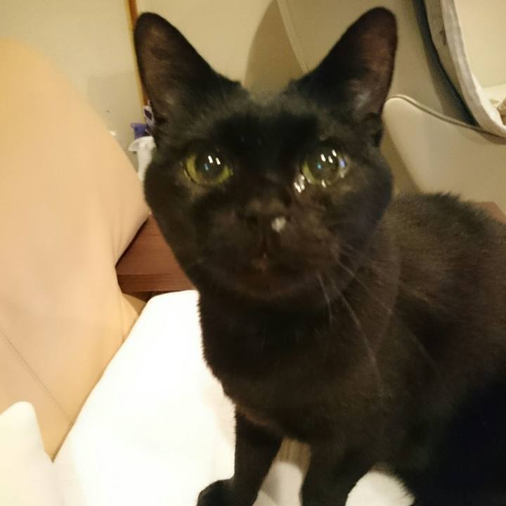 2e891186 fbc9 4d4e ab71 439ef23dee9d