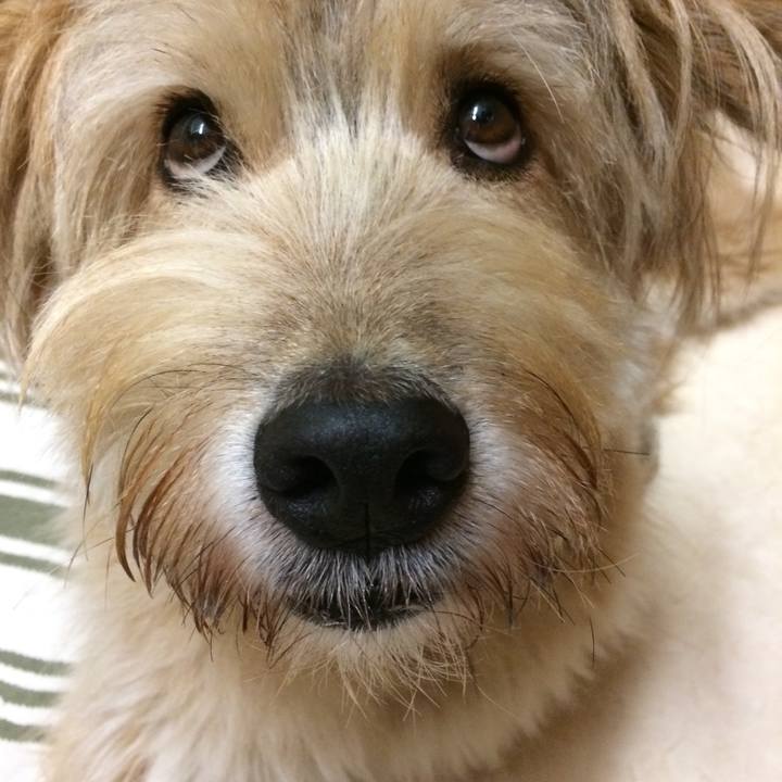 2e897a85 b74e 41b9 873f 0f32e2599f33