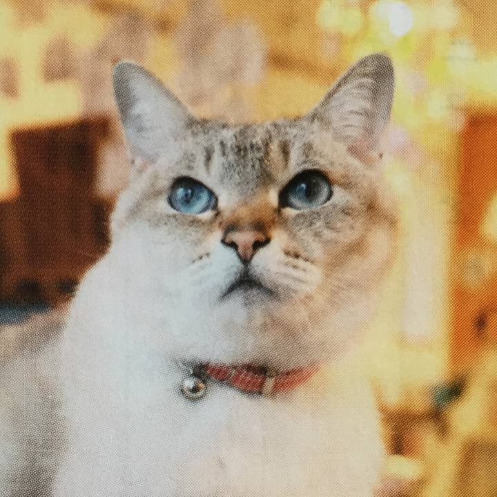 2e89bef6 9365 436b 89b7 948447f59fbf