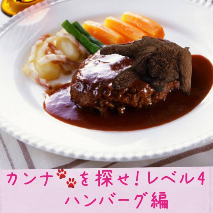 2e89cbbd a84c 44a4 80dd 6fe41e9b48ef