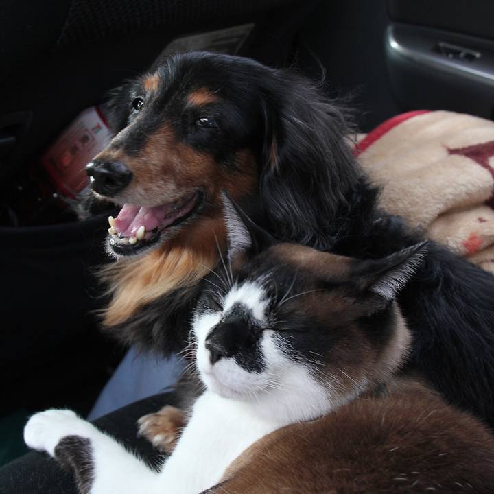 2e8a2afc 93db 494f 978b 8f5ed3b027f5