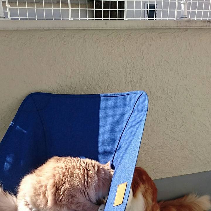 2e8a39a5 2a6e 4a38 b605 2829d5784d0c