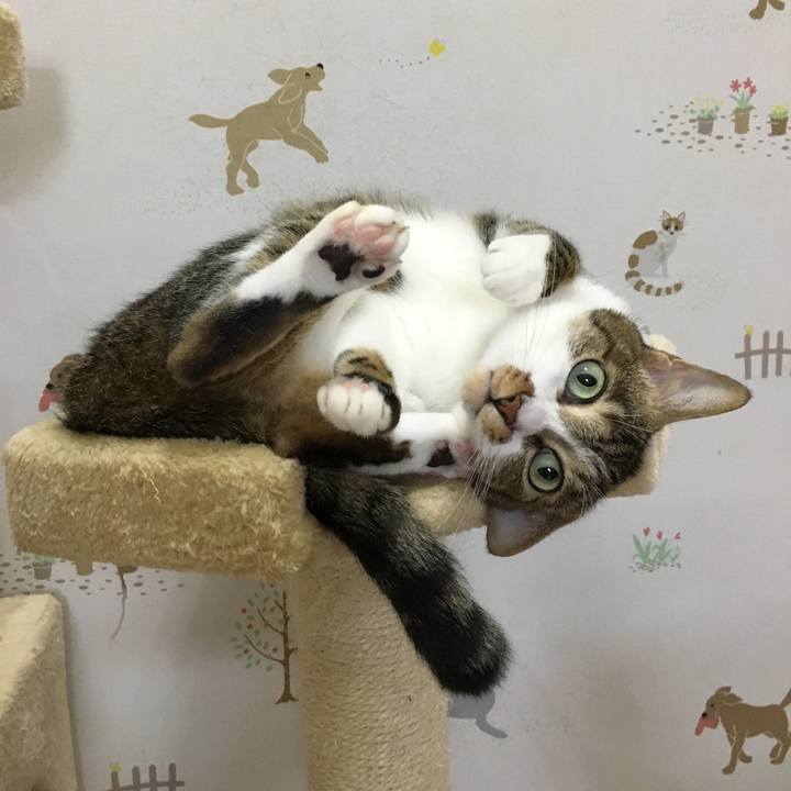 2e8a65c0 bd9f 4ed0 95ec d104852b97da