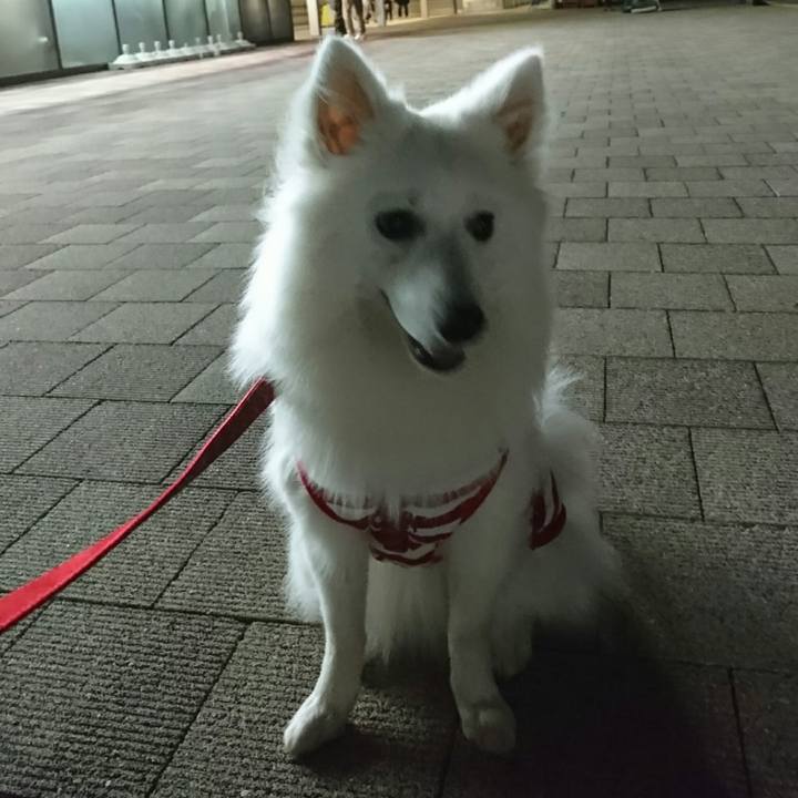 2e8a6fd2 fd0a 49bf 9e13 eacb52a7c13a