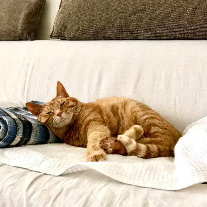 2e8a9dfd 562a 4147 b554 e3ef09657259