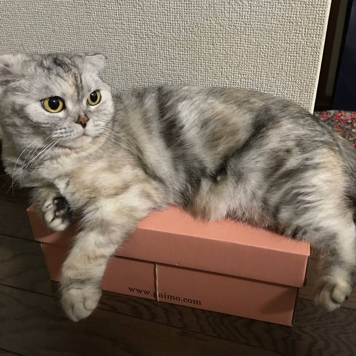 2e8ab819 a464 44e6 afb1 24cb7dea8867