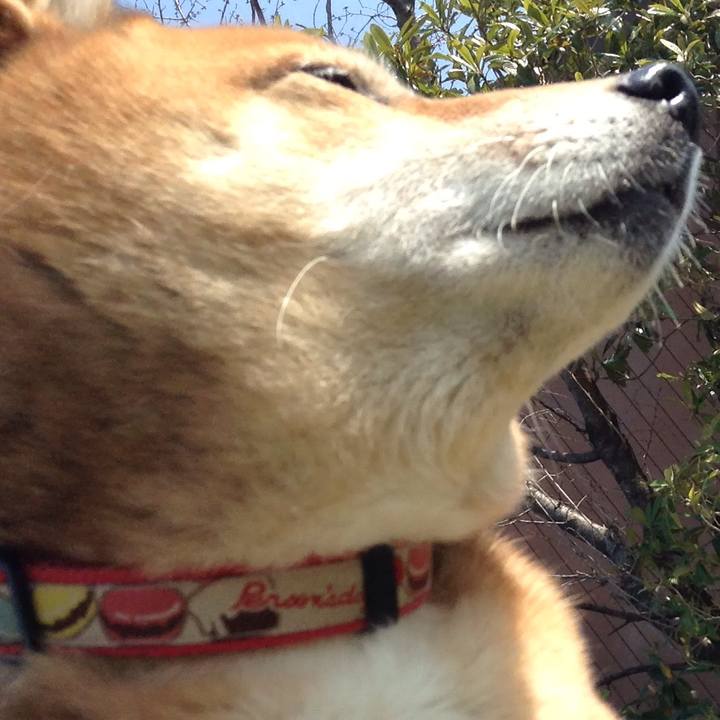 2e8b4700 5444 473b 914d 7b0b19fba0dc