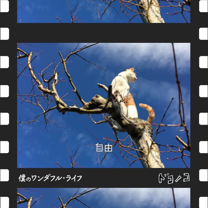 2e8bd902 2397 4d36 a1f2 f7f46b324377