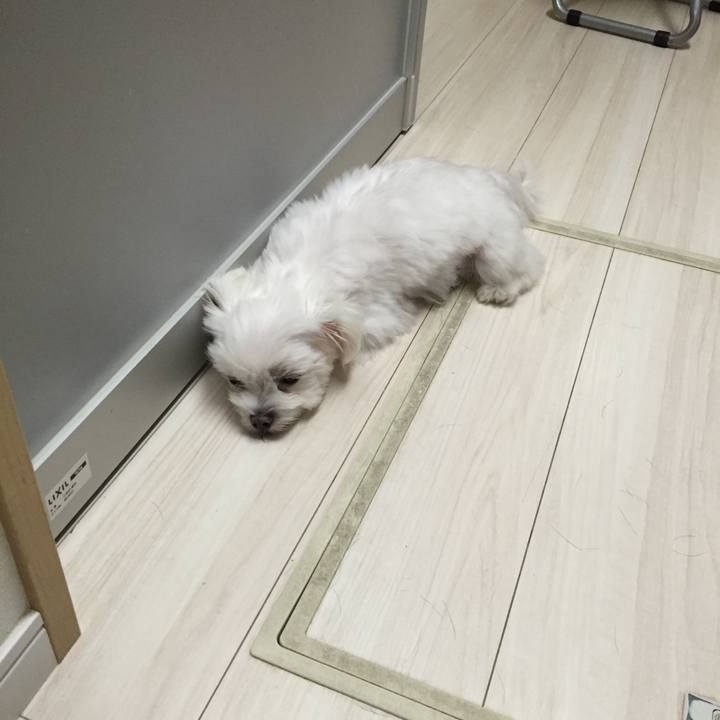 2e8be3fb 35b8 41c6 a1e8 b9aba5ce8728