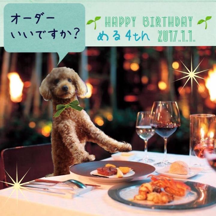 2e8d0a72 8457 464d ae2a 34e0a88290e3