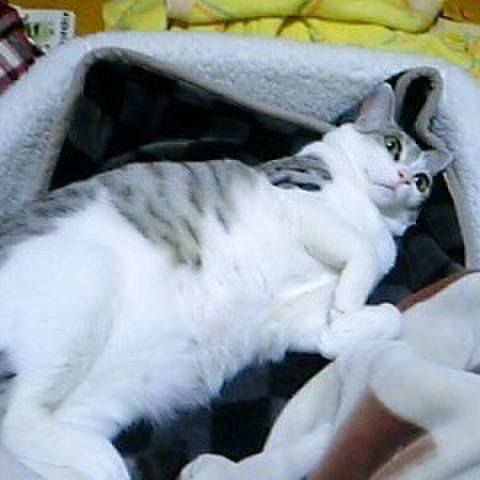 2e8d3a3c d0b6 4d93 9597 91a2c7c282ae