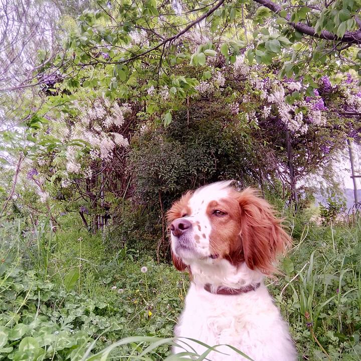 2e8d7855 9a9a 40be a476 e56b19b67d73