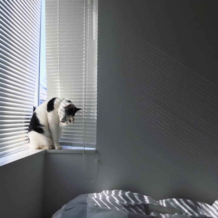 2e8dcfa7 e9d1 4904 b7fb 603d36605c66