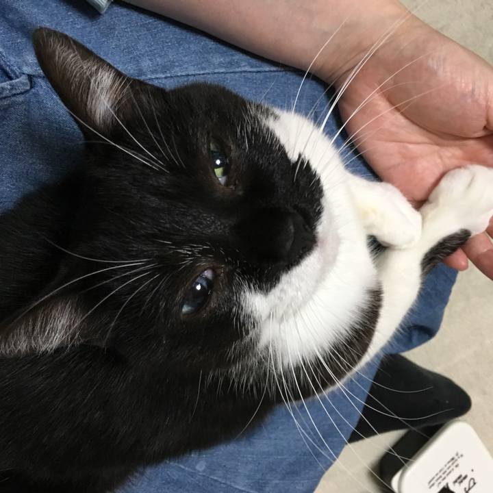 2e8e3b94 ecde 41ce bbf9 5ce194ade177