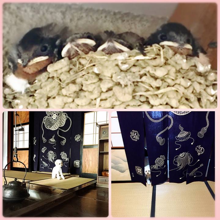 2e8ef92f 8ef5 47e2 b817 12c367bd7881