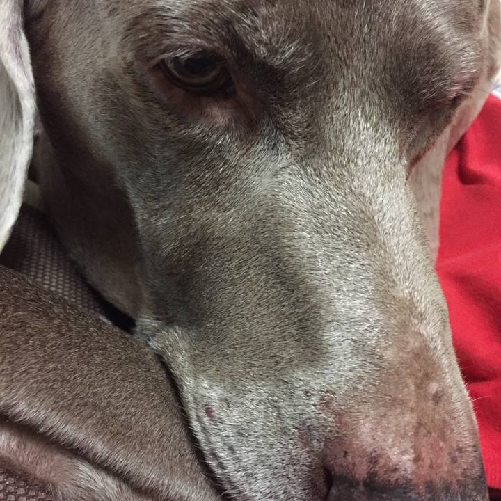 2e8fba5e 1443 47b5 b558 f832322d7711