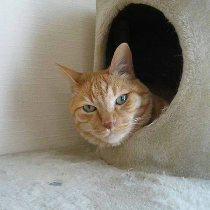 2e903918 6081 488e b253 bd575fb7a19a