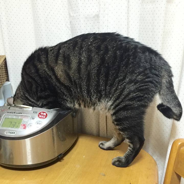 2e9067d9 e1c9 45bc adfa 8ea7ba79b0de