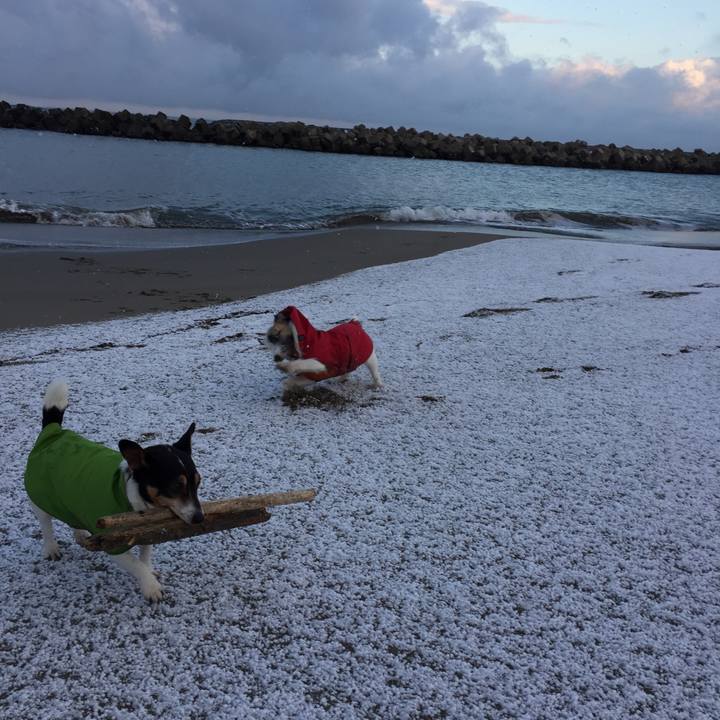 2e913970 4a4b 4ab8 a599 069a8f0606c6