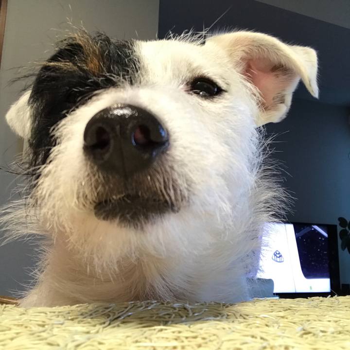 2e91512f e35c 4329 940f b2acdc6b12a4