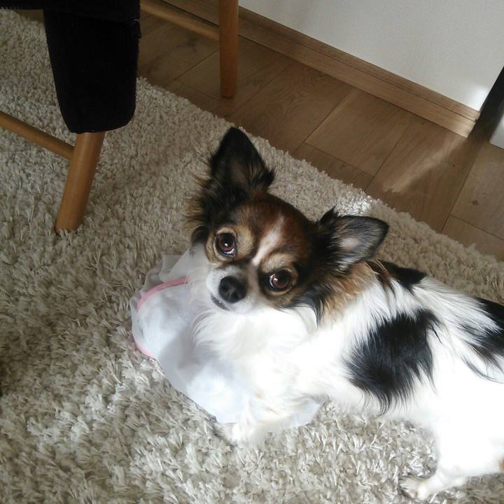 2e915b01 faad 45c9 a1de 5872772b8585