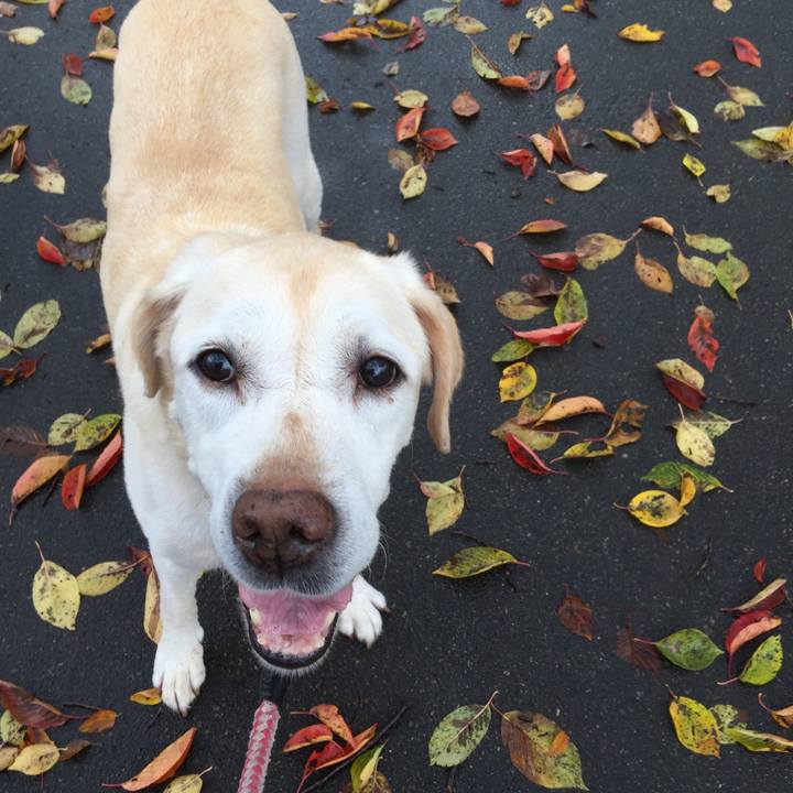 2e91d7b4 309f 4551 86b4 e79c9ccf8530